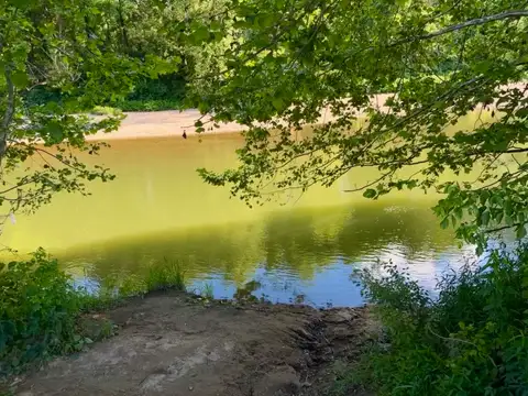 Serene waters framed by vibrant summer foliage.